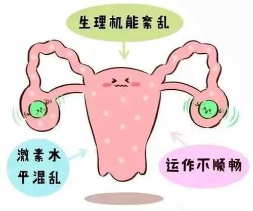 长沙医院借卵,2025年长沙市做试管需要结婚证吗(长沙试管婴儿流程)